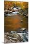 Mountain creek with fall colors, Smoky Mountains, Tennessee-Anna Miller-Mounted Photographic Print