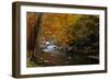 Mountain creek with fall colors, Smoky Mountains, Tennessee-Anna Miller-Framed Photographic Print