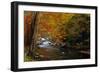 Mountain creek with fall colors, Smoky Mountains, Tennessee-Anna Miller-Framed Photographic Print