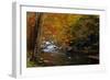 Mountain creek with fall colors, Smoky Mountains, Tennessee-Anna Miller-Framed Photographic Print