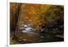 Mountain creek with fall colors, Smoky Mountains, Tennessee-Anna Miller-Framed Photographic Print