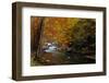 Mountain creek with fall colors, Smoky Mountains, Tennessee-Anna Miller-Framed Photographic Print