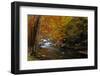 Mountain creek with fall colors, Smoky Mountains, Tennessee-Anna Miller-Framed Photographic Print