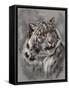 Mountain Denizen-Barbara Keith-Framed Stretched Canvas