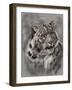 Mountain Denizen-Barbara Keith-Framed Giclee Print