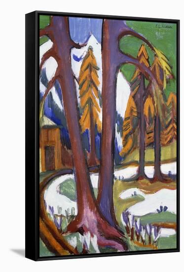 Mountain-Early Spring with Larchen; Berg-Vorfruhling Mit Larchen, C.1921-1923-Ernst Ludwig Kirchner-Framed Stretched Canvas