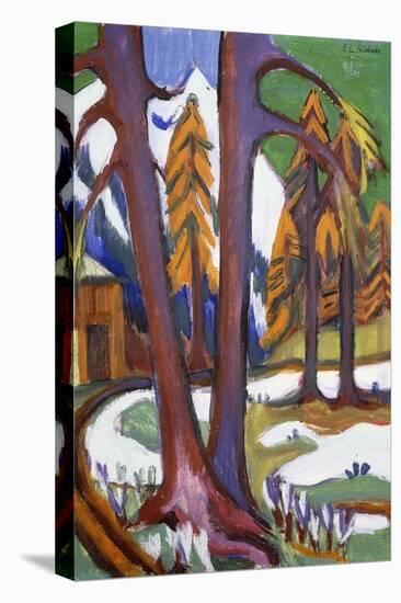 Mountain-Early Spring with Larchen; Berg-Vorfruhling Mit Larchen, C.1921-1923-Ernst Ludwig Kirchner-Stretched Canvas