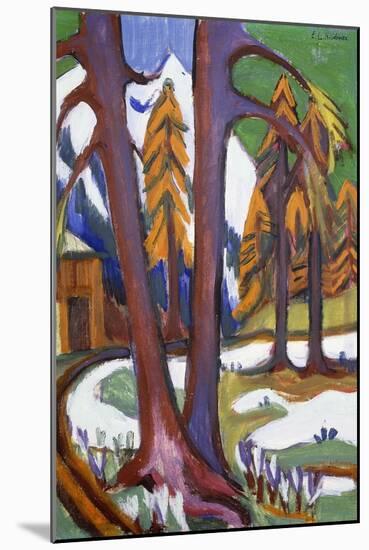 Mountain-Early Spring with Larchen; Berg-Vorfruhling Mit Larchen, C.1921-1923-Ernst Ludwig Kirchner-Mounted Giclee Print