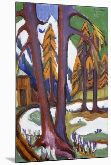Mountain-Early Spring with Larchen; Berg-Vorfruhling Mit Larchen, C.1921-1923-Ernst Ludwig Kirchner-Mounted Premium Giclee Print