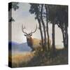 Mountain Elk I-Chris Vest-Stretched Canvas