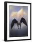 Mountain Flight-Jai Johnson-Framed Giclee Print