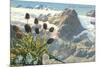 Mountain Flowers, Swiss Alps-null-Mounted Art Print