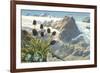 Mountain Flowers, Swiss Alps-null-Framed Premium Giclee Print