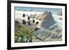 Mountain Flowers, Swiss Alps-null-Framed Premium Giclee Print