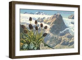 Mountain Flowers, Swiss Alps-null-Framed Art Print