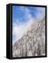 Mountain forest at frozen Sylvenstein Reservoir near Bad Tolz, Germany-Martin Zwick-Framed Stretched Canvas