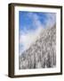 Mountain forest at frozen Sylvenstein Reservoir near Bad Tolz, Germany-Martin Zwick-Framed Photographic Print