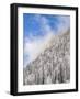 Mountain forest at frozen Sylvenstein Reservoir near Bad Tolz, Germany-Martin Zwick-Framed Photographic Print