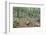 Mountain Forest-Rob Tilley-Framed Photographic Print