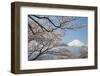 Mountain Fuji in Spring ,Cherry Blossom Sakura-Torsakarin-Framed Photographic Print