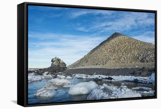 Mountain full of imperial shags (Phalacrocorax atriceps), Paulet Island, Antarctica, Polar Regions-Michael Runkel-Framed Stretched Canvas