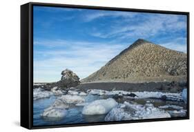 Mountain full of imperial shags (Phalacrocorax atriceps), Paulet Island, Antarctica, Polar Regions-Michael Runkel-Framed Stretched Canvas