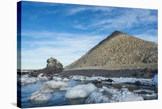 Mountain full of imperial shags (Phalacrocorax atriceps), Paulet Island, Antarctica, Polar Regions-Michael Runkel-Stretched Canvas