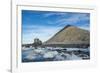 Mountain full of imperial shags (Phalacrocorax atriceps), Paulet Island, Antarctica, Polar Regions-Michael Runkel-Framed Photographic Print