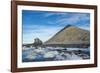 Mountain full of imperial shags (Phalacrocorax atriceps), Paulet Island, Antarctica, Polar Regions-Michael Runkel-Framed Photographic Print