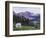 Mountain Goat Adult with Summer Coat, Hidden Lake, Glacier National Park, Montana, Usa, July 2007-Rolf Nussbaumer-Framed Photographic Print