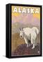 Mountain Goat, Alaska-Lantern Press-Framed Stretched Canvas