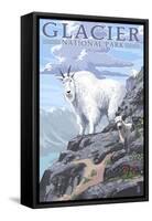 Mountain Goat and Kid - Glacier National Park, Montana-Lantern Press-Framed Stretched Canvas