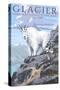 Mountain Goat and Kid - Glacier National Park, Montana-Lantern Press-Stretched Canvas