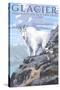 Mountain Goat and Kid - Glacier National Park, Montana-Lantern Press-Stretched Canvas