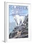 Mountain Goat and Kid - Glacier National Park, Montana-Lantern Press-Framed Art Print