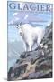 Mountain Goat and Kid - Glacier National Park, Montana-Lantern Press-Mounted Art Print