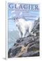 Mountain Goat and Kid - Glacier National Park, Montana-Lantern Press-Framed Art Print