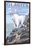 Mountain Goat and Kid - Glacier National Park, Montana-Lantern Press-Framed Art Print