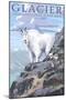 Mountain Goat and Kid - Glacier National Park, Montana-Lantern Press-Mounted Art Print