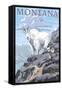 Mountain Goat and Kid - Montana-Lantern Press-Framed Stretched Canvas