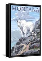 Mountain Goat and Kid - Montana-Lantern Press-Framed Stretched Canvas