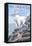 Mountain Goat and Kid - Montana-Lantern Press-Framed Stretched Canvas