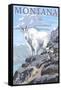 Mountain Goat and Kid - Montana-Lantern Press-Framed Stretched Canvas