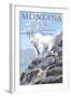 Mountain Goat and Kid - Montana-Lantern Press-Framed Art Print