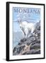 Mountain Goat and Kid - Montana-Lantern Press-Framed Art Print