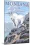 Mountain Goat and Kid - Montana-Lantern Press-Mounted Art Print