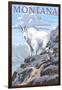 Mountain Goat and Kid - Montana-Lantern Press-Framed Art Print