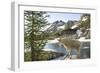 Mountain Goat, at Wing Lake-Matt Freedman-Framed Photographic Print