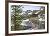 Mountain Goat, at Wing Lake-Matt Freedman-Framed Photographic Print