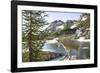 Mountain Goat, at Wing Lake-Matt Freedman-Framed Photographic Print